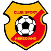 Team logo